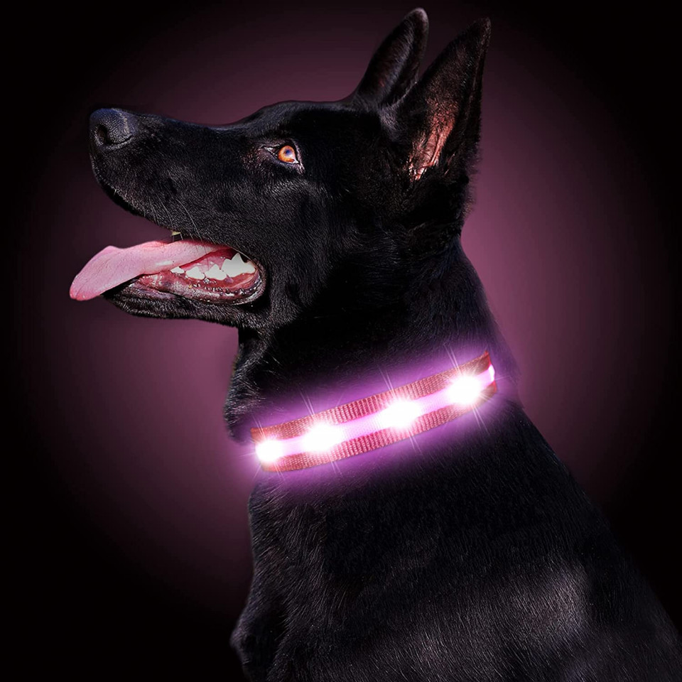 Zgarda pentru caine Gomyyard, LED, nailon, negru/roz, marimea XS