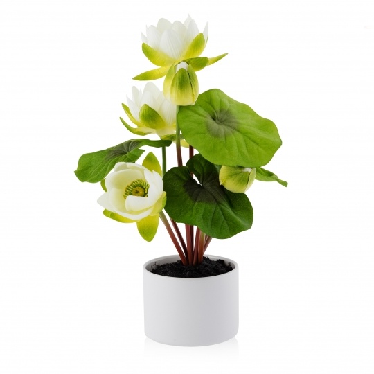 Floare decorativa nenuphar