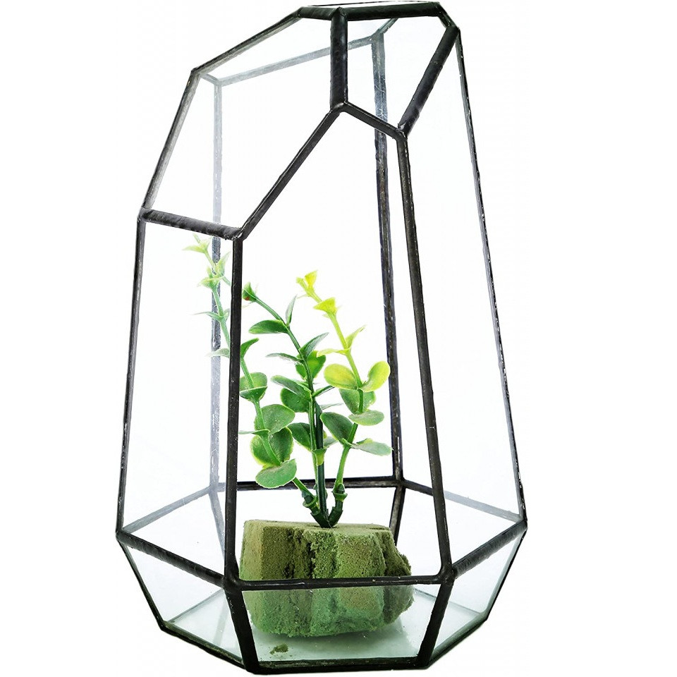 Ghiveci decorativ pentru plante Asvert, sticla, transparent, 10,5 x 9 x 15 cm