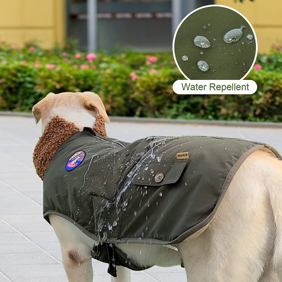 Poze Jacheta cu blana impermeabila pentru caine IREENUO, bumbac/nailon, verde, S