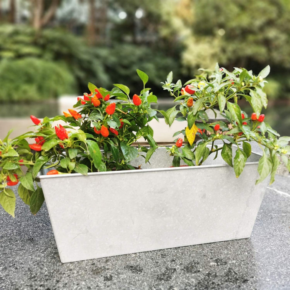 Poze Jardiniera cu maner de suspendare HORTICAN, metal, 42 x 20 x 14 cm
