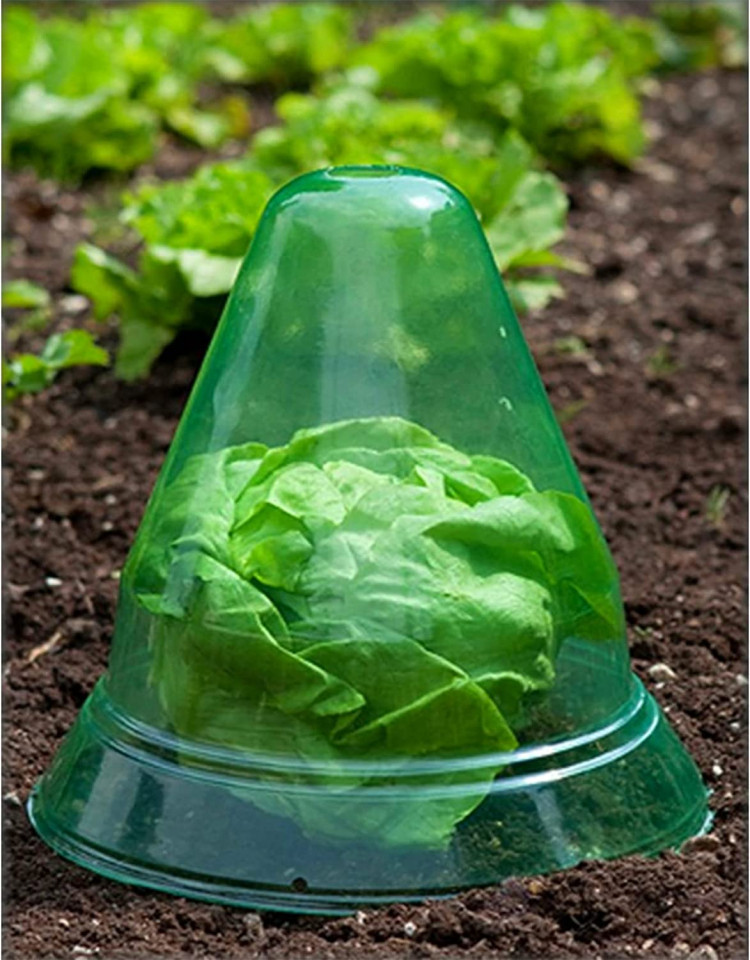 Poze Set de 10 protectii pentru plante CYYMNA, PVC, verde