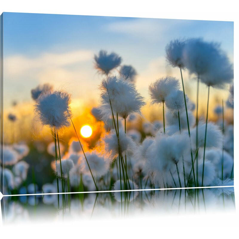 Tablou Cotton Flowers at Sunset, panza, albastru, 60 x 80 cm chilipirul-zilei.ro imagine noua elgreco.ro