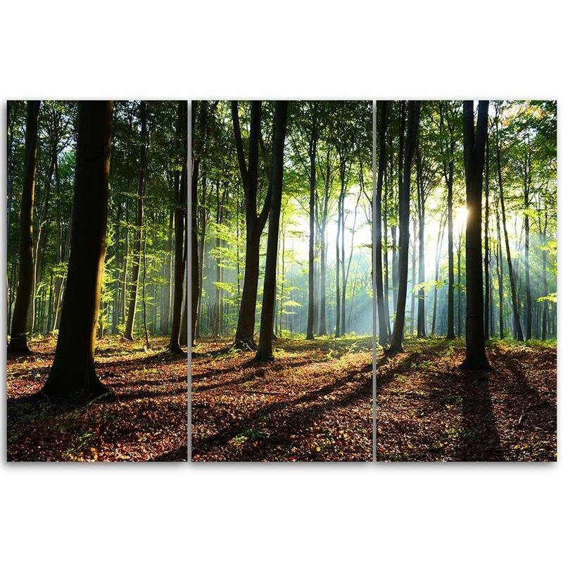 Tablou Rays In The Forest, 3 piese, panza, 40 x 60 x 4 cm chilipirul-zilei.ro/ imagine noua somnexpo.ro