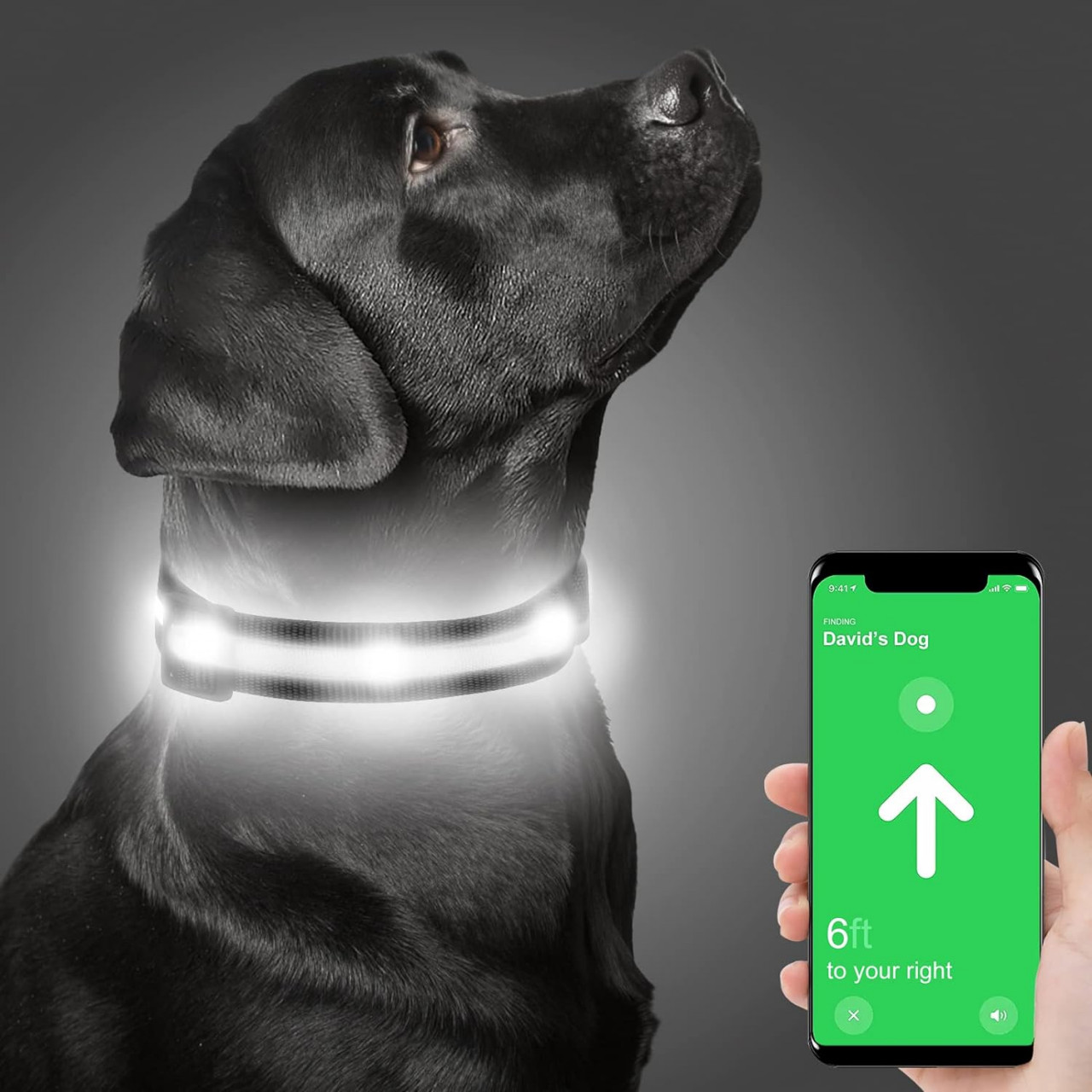Zgarda pentru caine Dynmeow, LED, nailon, negru/alb, marimea XS
