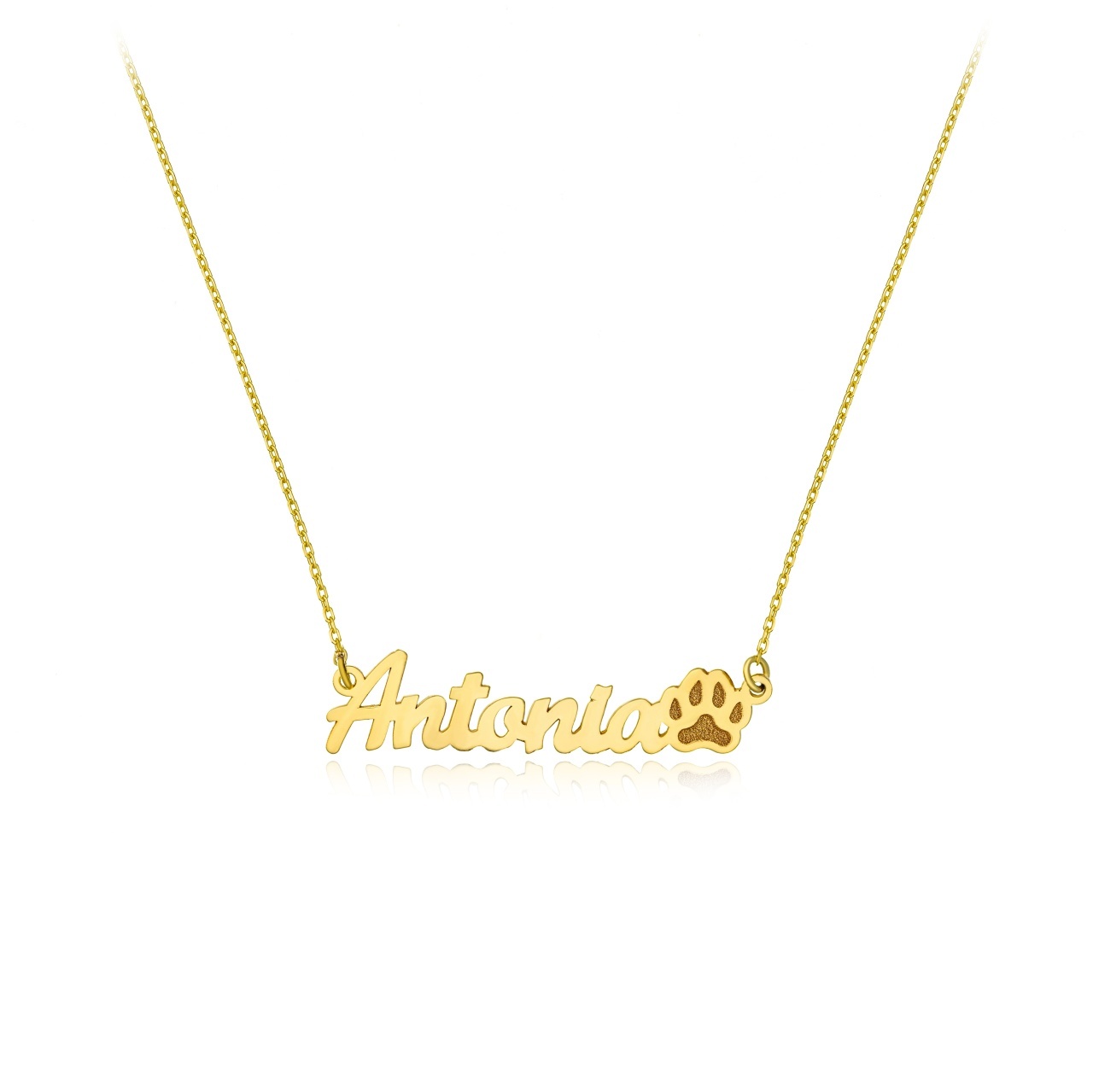 Colier din aur 14k personalizat la comanda cu nume si labuta de catel
