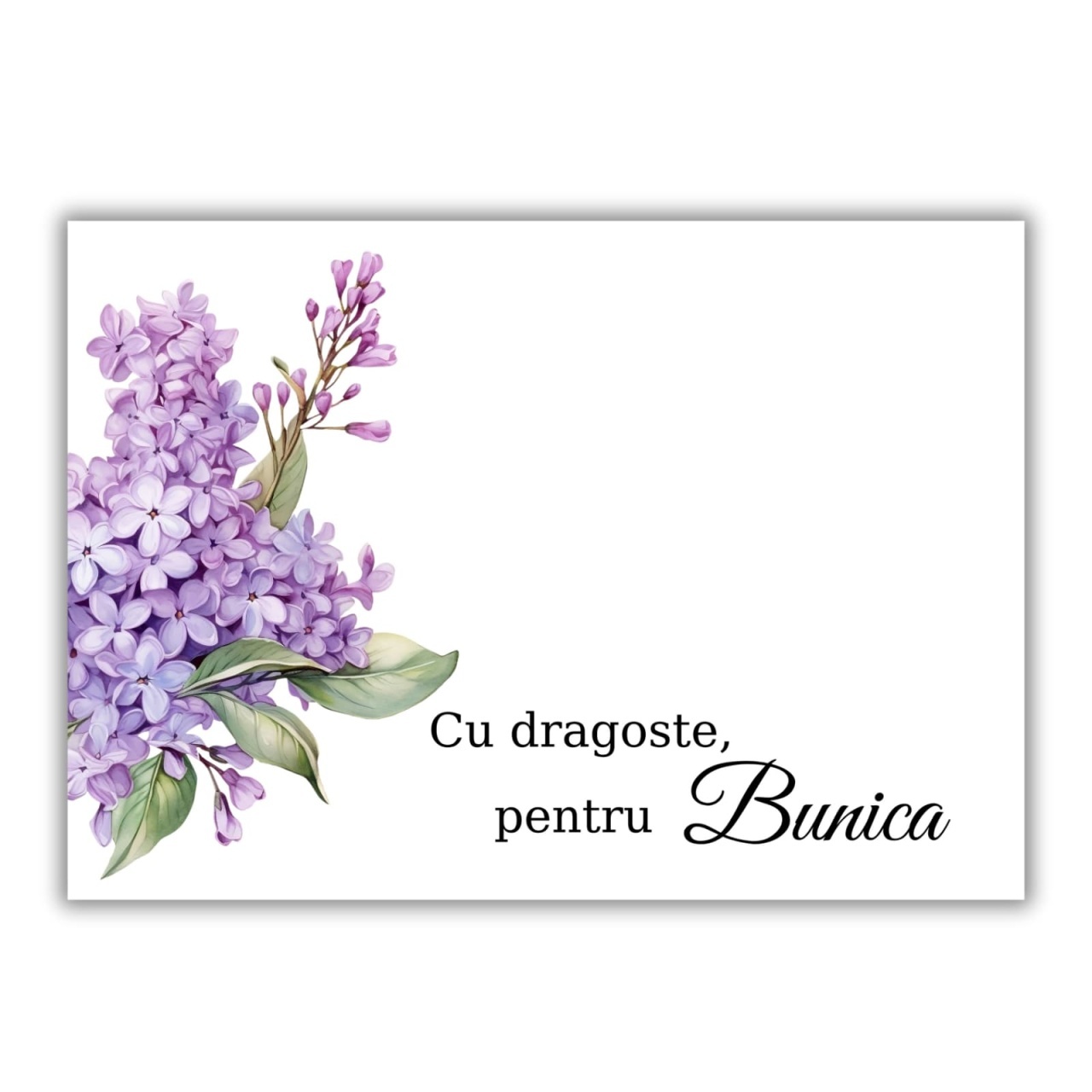 Set Cartoane Martisor - Bunica