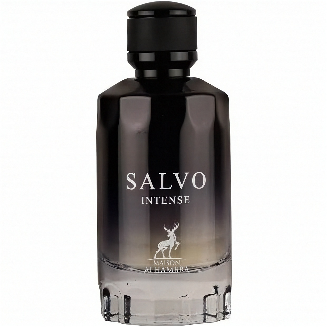 Salvo Intense Maison Alhambra 100 ml, apa de parfum, barbati