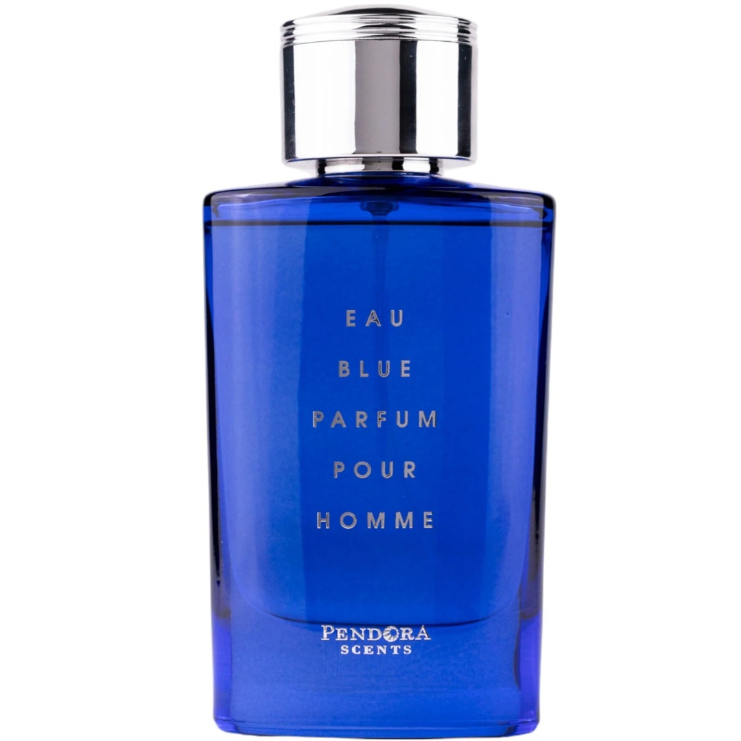 Eau Blue Parfum Pour Homme Pendora Scents 100 ml, apa de parfum, barbati