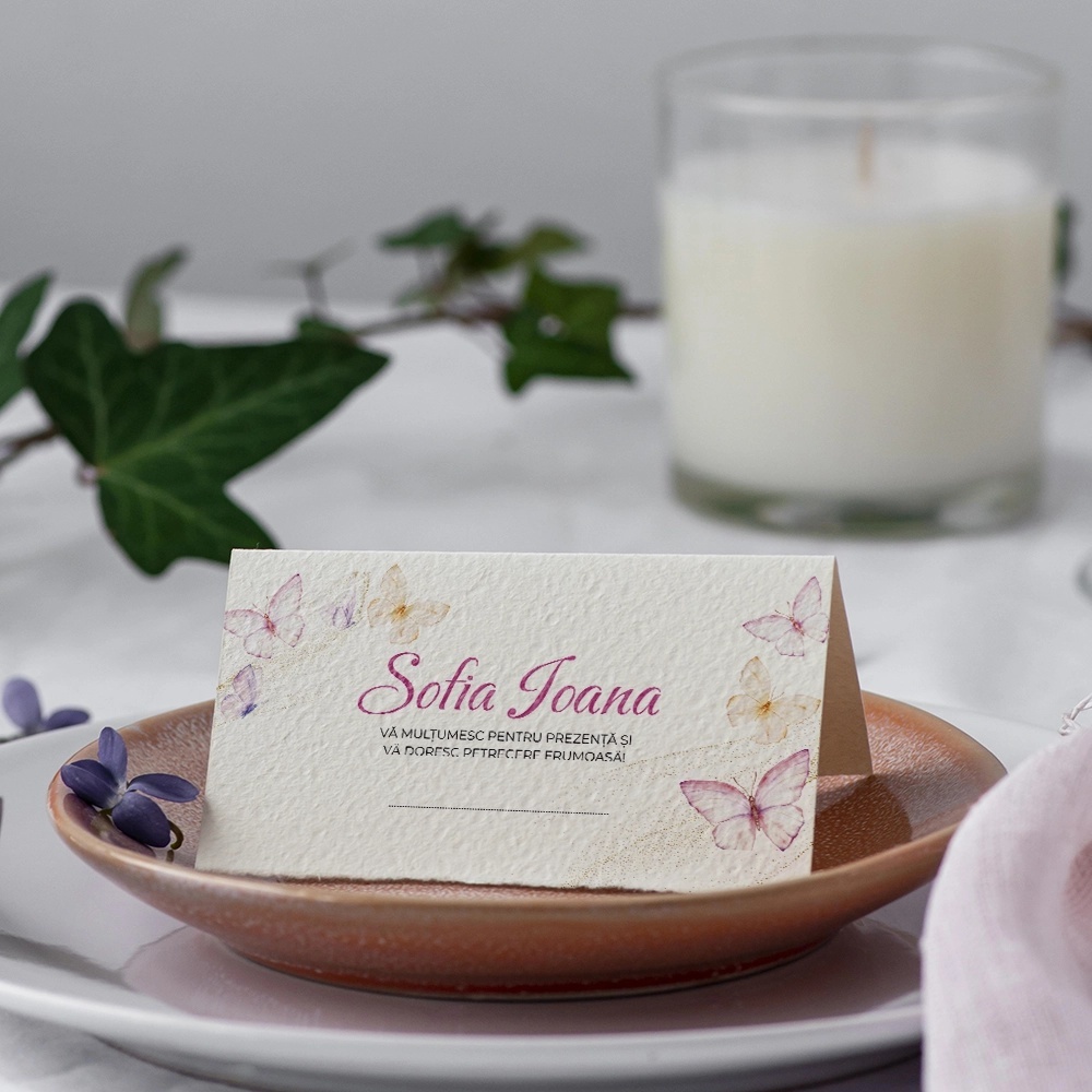 Plic pentru bani de botez baby animals 900426