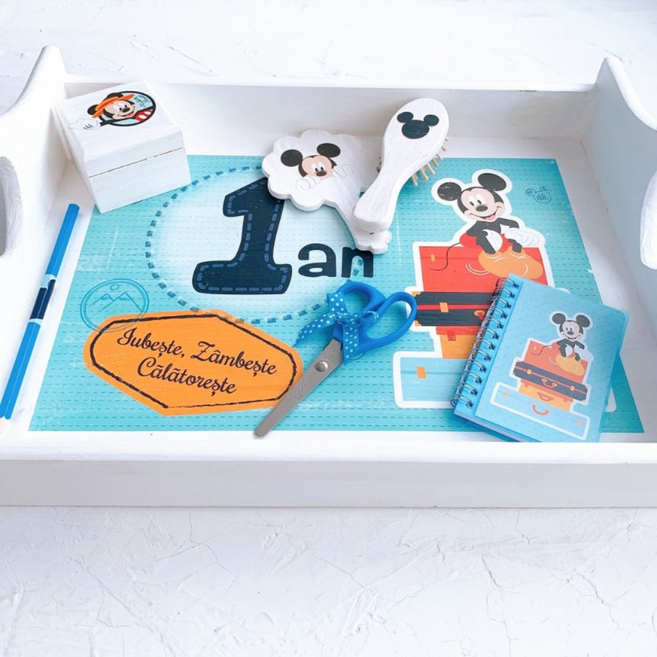 Tavita pentru mot Mickey travel