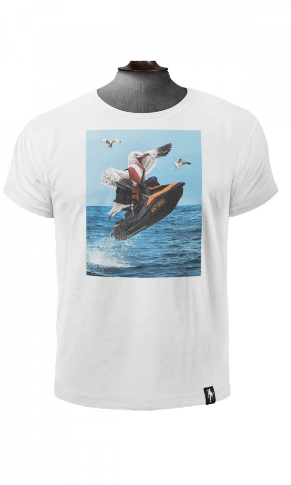 Ski Gull
