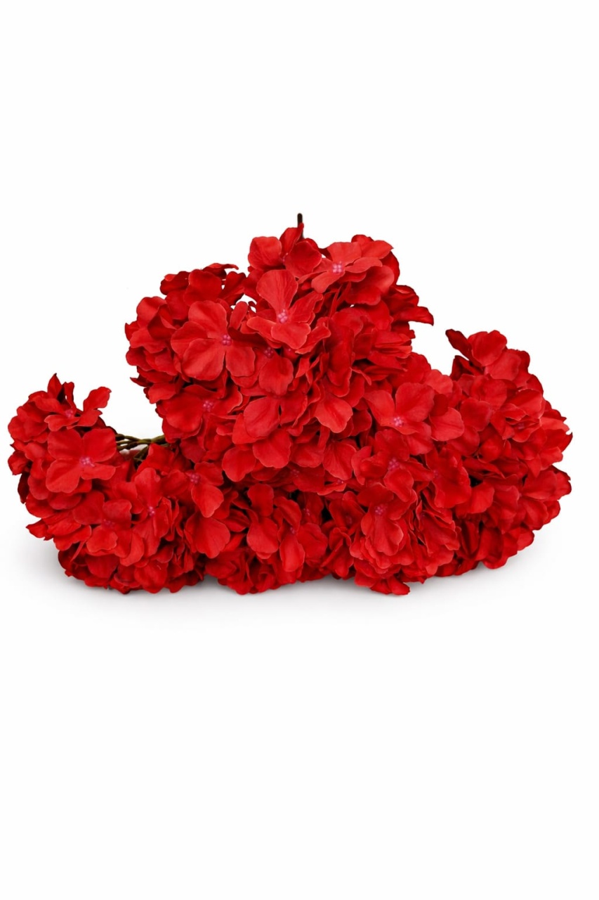 Importflower.ro Hortensie rosie mare