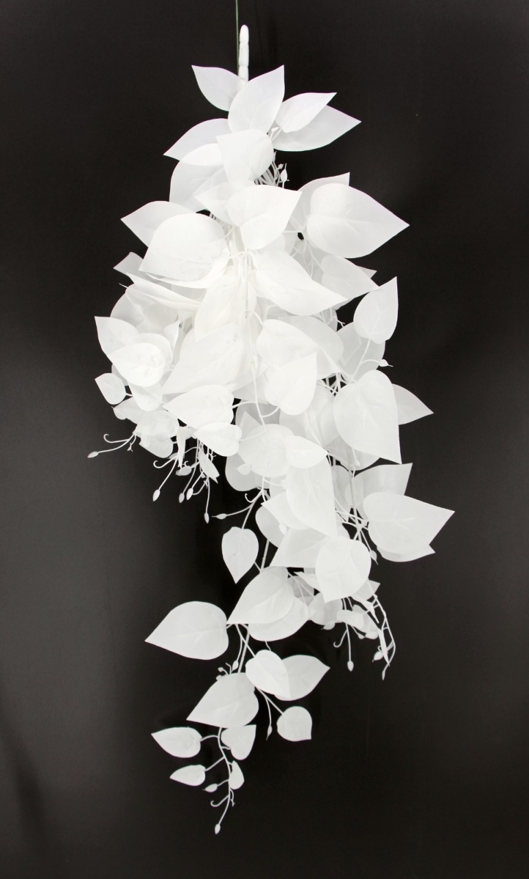 Crenguta cu frunze albe