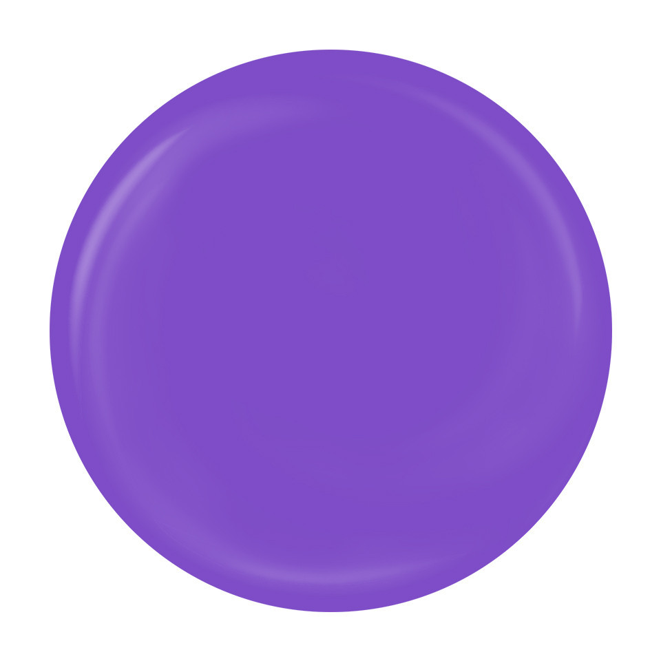 Gel Pictura Unghii LUXORISE Perfect Line – Purple, 5ml kitunghii.ro imagine noua 2022