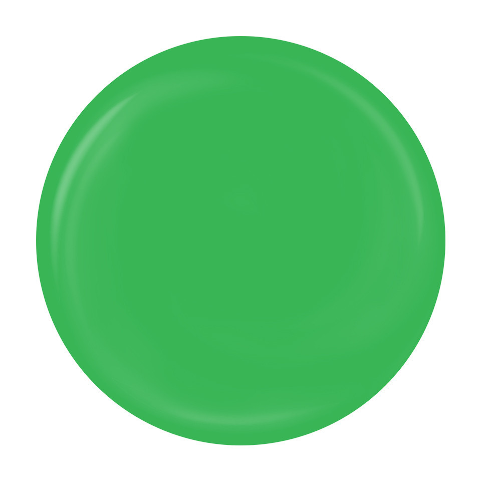 Gel Pictura Unghii LUXORISE Perfect Line – Neon Green, 5ml kitunghii.ro imagine noua 2022