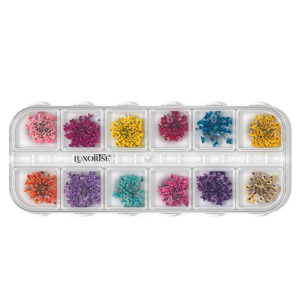 Flori Uscate Unghii LUXORISE – Flower Romance, 12 modele Flori Naturale Uscate kitunghii.ro
