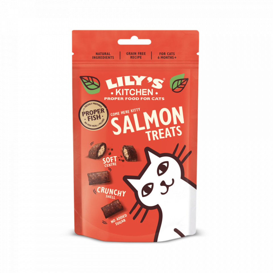 Lily's Kitchen Cat Salmon Pillow Treats 60g