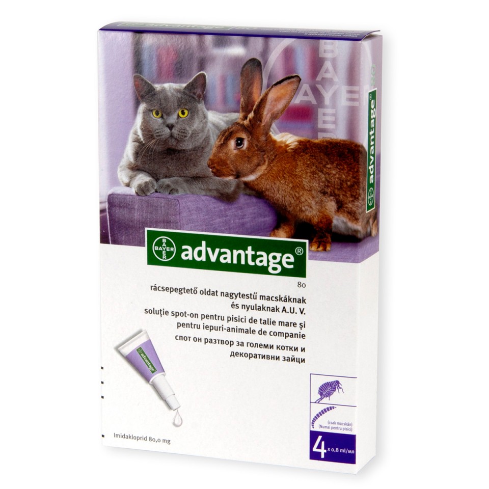 Advantage cat 4-8kg Bayer imagine 2022