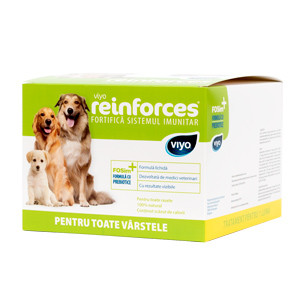 Viyo Reinforces for Dogs all ages 30 x 30 ml shop.perfectpet.ro imagine 2022