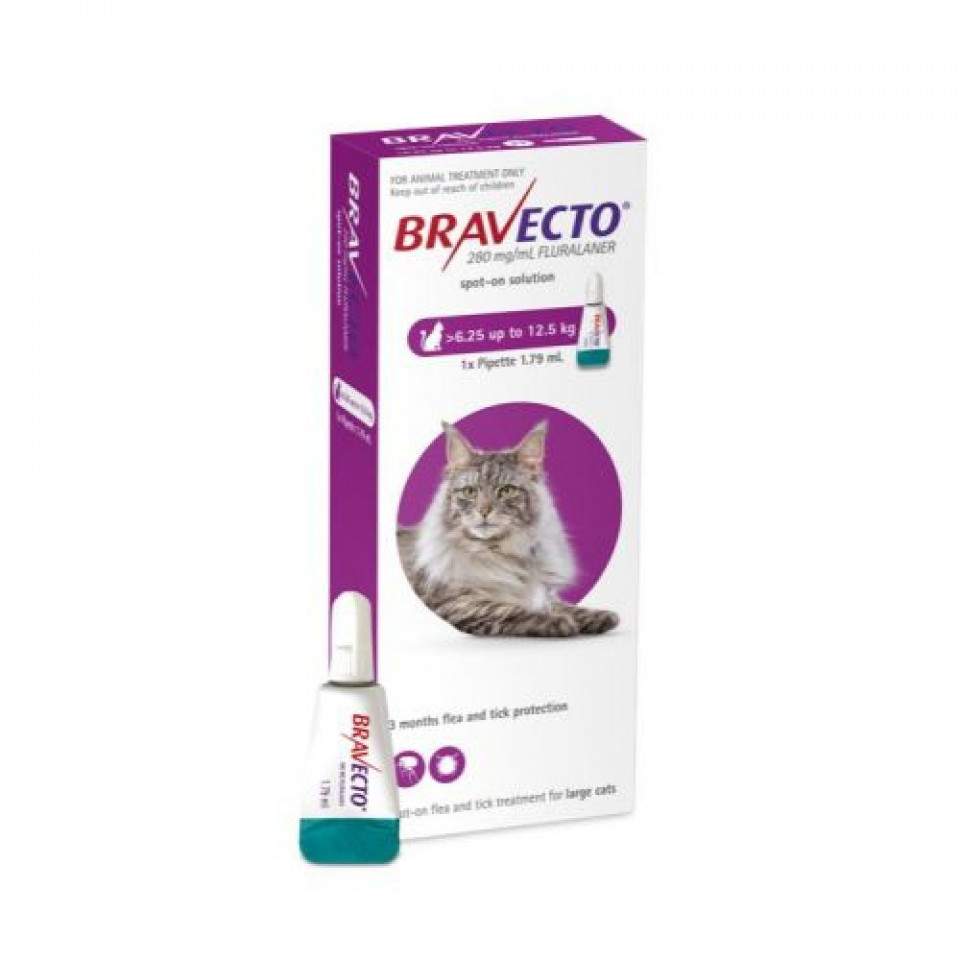 Bravecto Spot On Cat 500mg (6.25-12.5kg) pipeta shop.perfectpet.ro imagine 2022