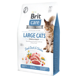 Brit Care Cat GF Large Cats Power and Vitality 2 kg Brit Care imagine 2022