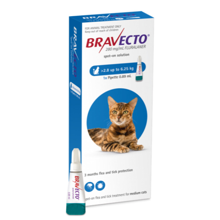 Bravecto Spot On Cat 250mg (2.8-6.25kg) pipeta shop.perfectpet.ro imagine 2022