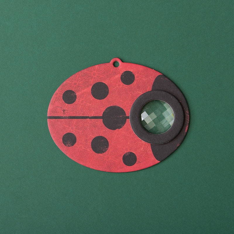 De exterior - Jucarie optica Buburuza, Londji