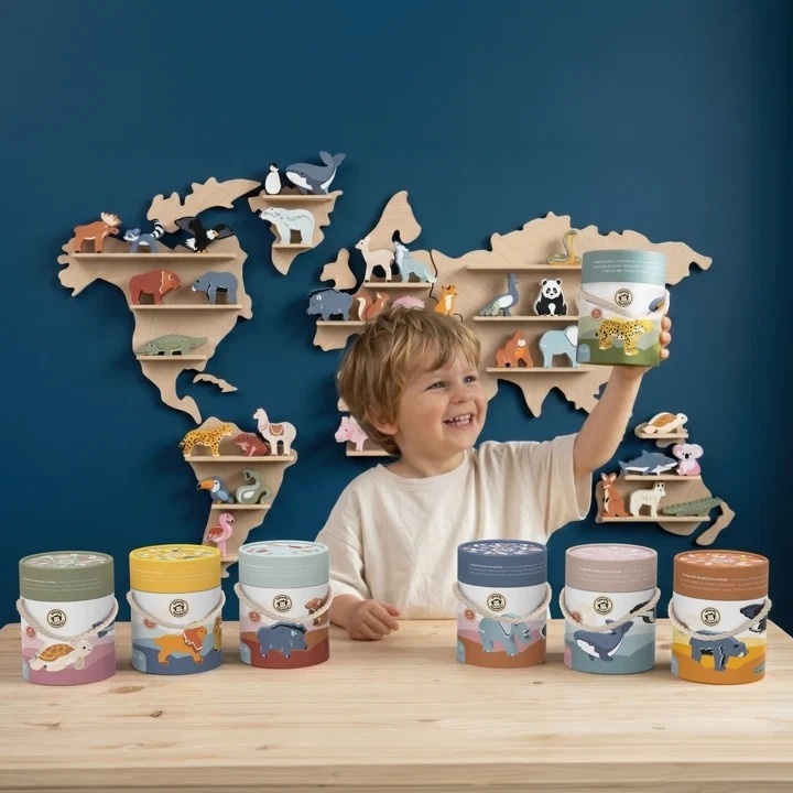 Set educativ cu animale din Africa, Speedy Monkey [2]