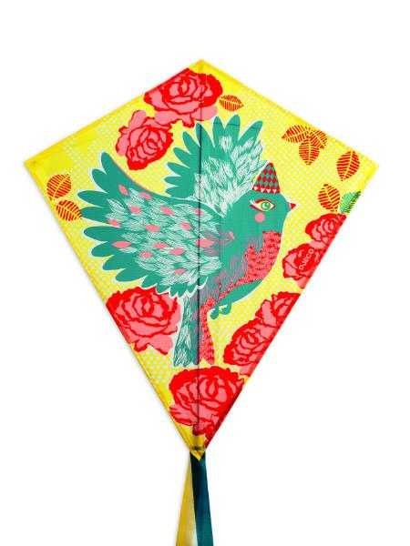 De exterior - Zmeu Pasare, Djeco