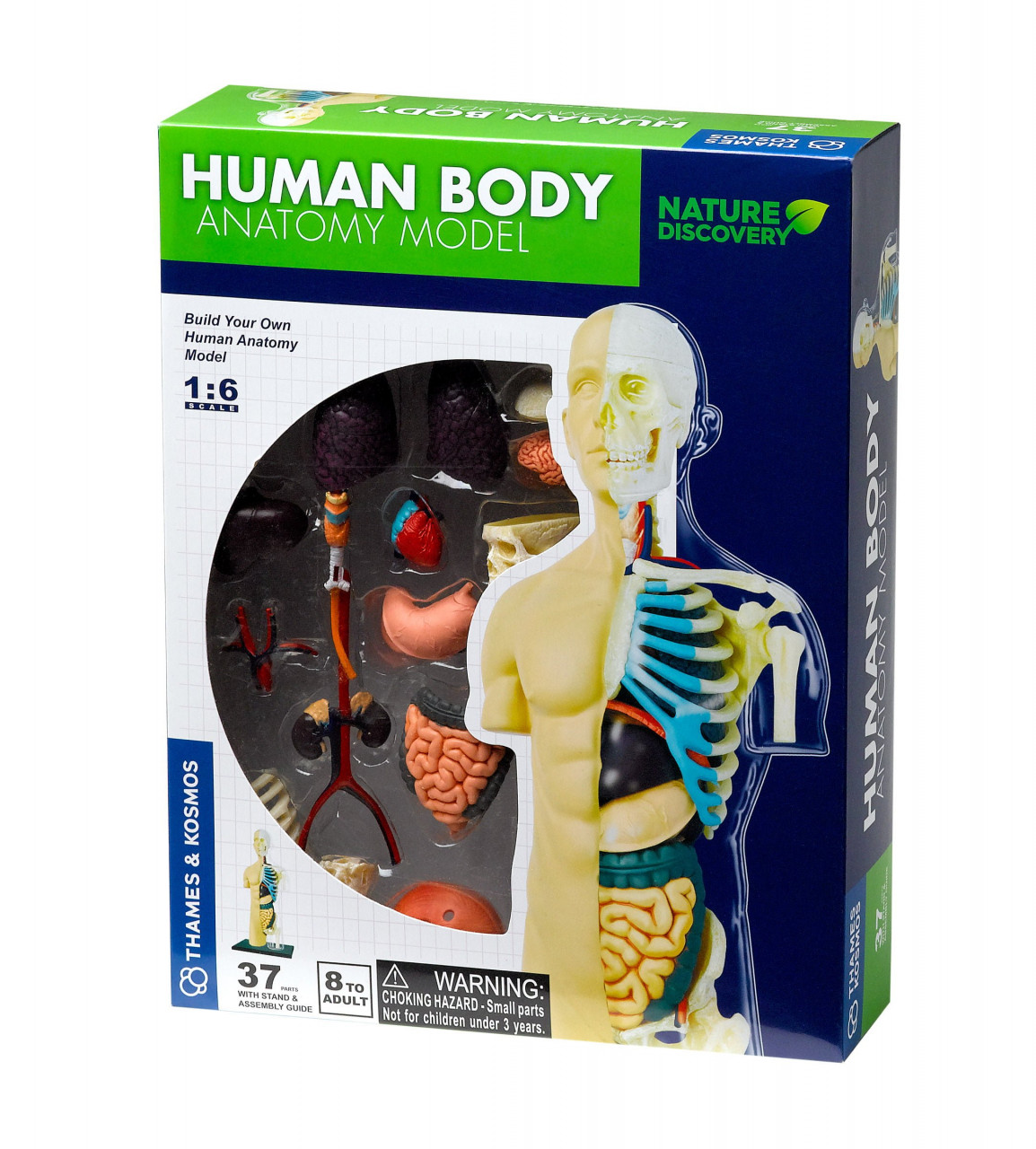 Jocuri si jucarii - Kit STEM Anatomia corpului uman, Thames & Kosmos