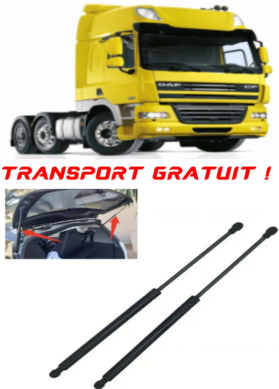 Set 2 amortizoare Haion portbagaj pentru masina Daf 95 XF