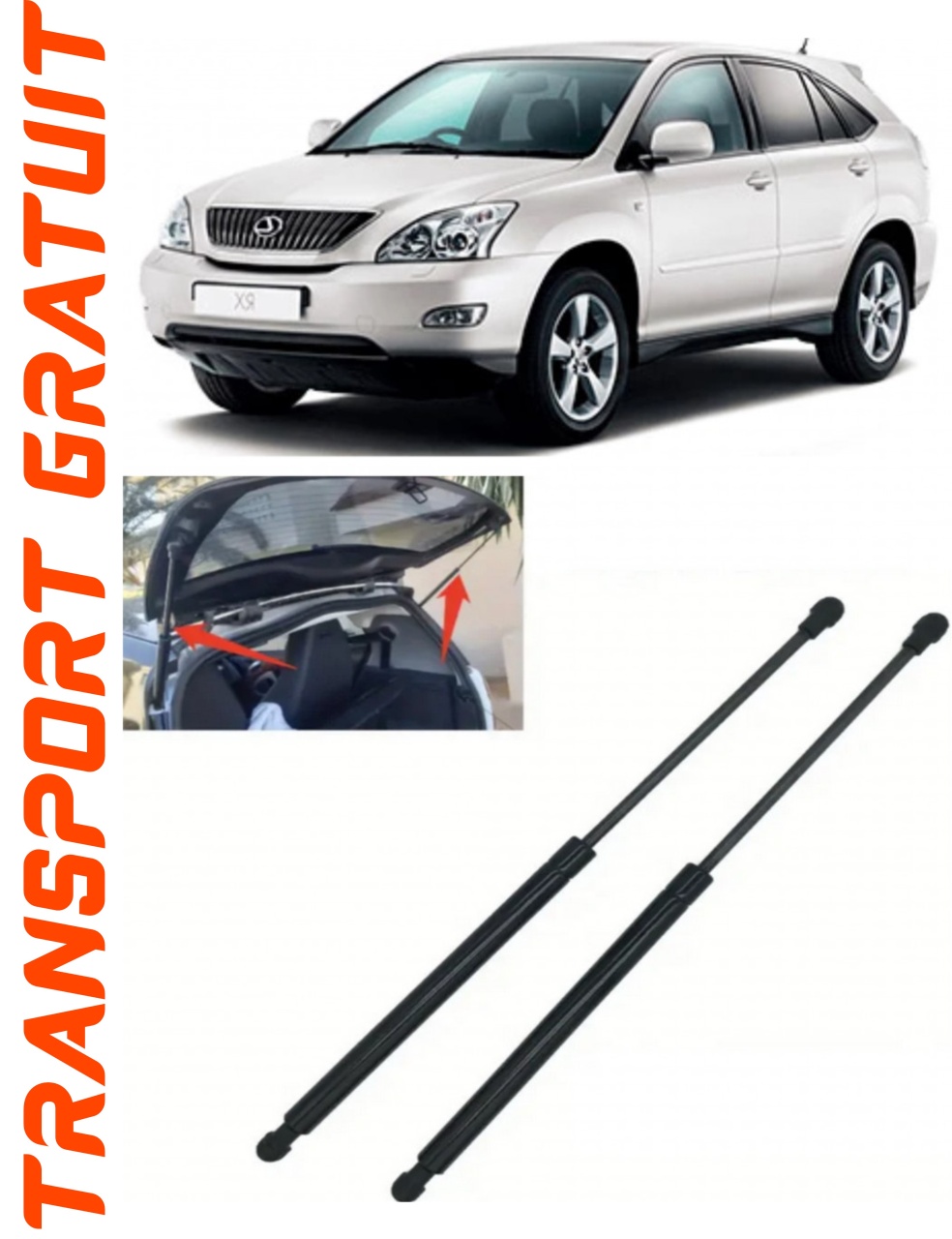 Set 2 amortizoare Haion portbagaj pentru masina Lexus Rx