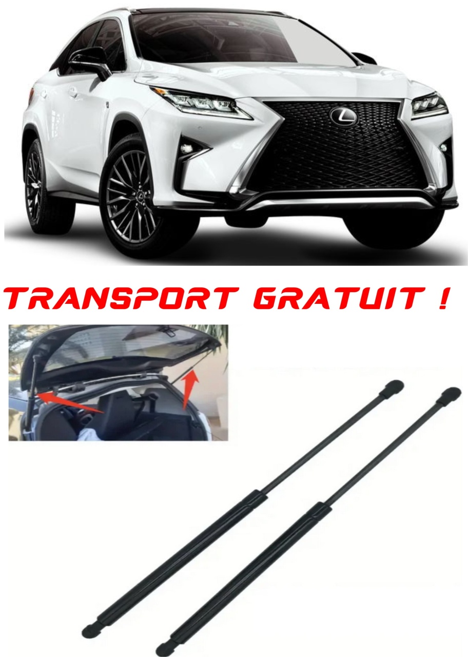Set 2 amortizoare Haion portbagaj pentru masina Lexus RX (_U3_)