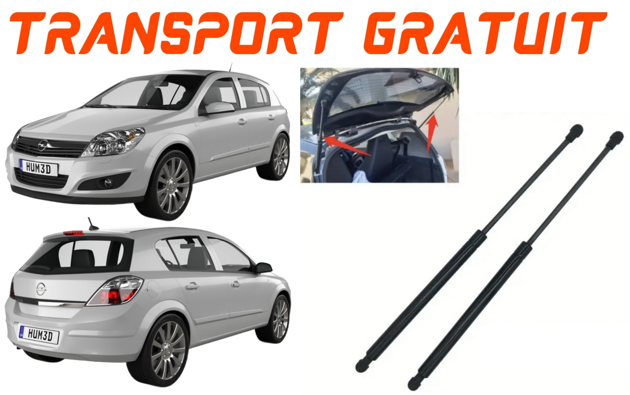 Set 2 amortizoare Haion portbagaj pentru masina Opel Astra H