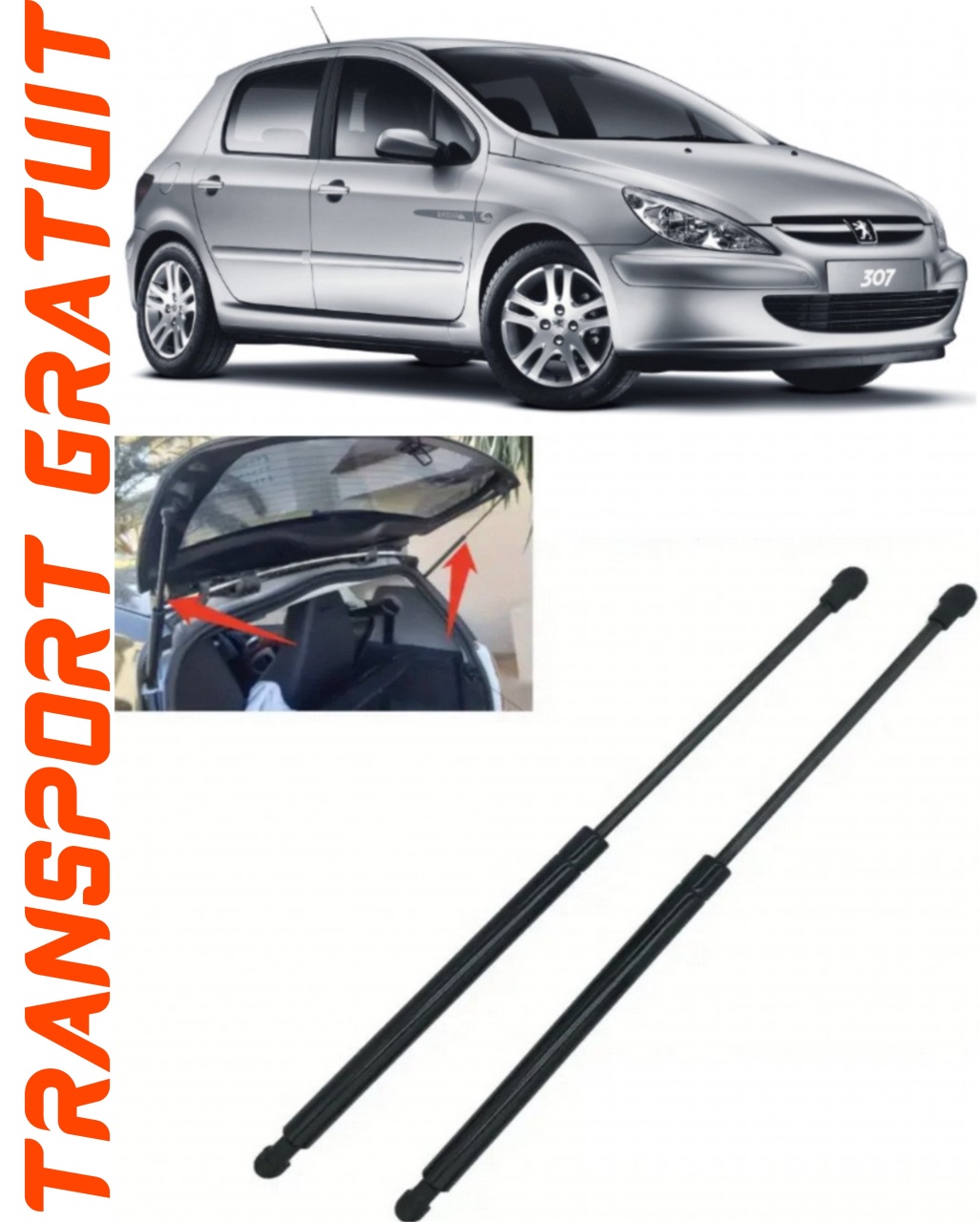 Set 2 amortizoare Haion portbagaj pentru masina Peugeot 307