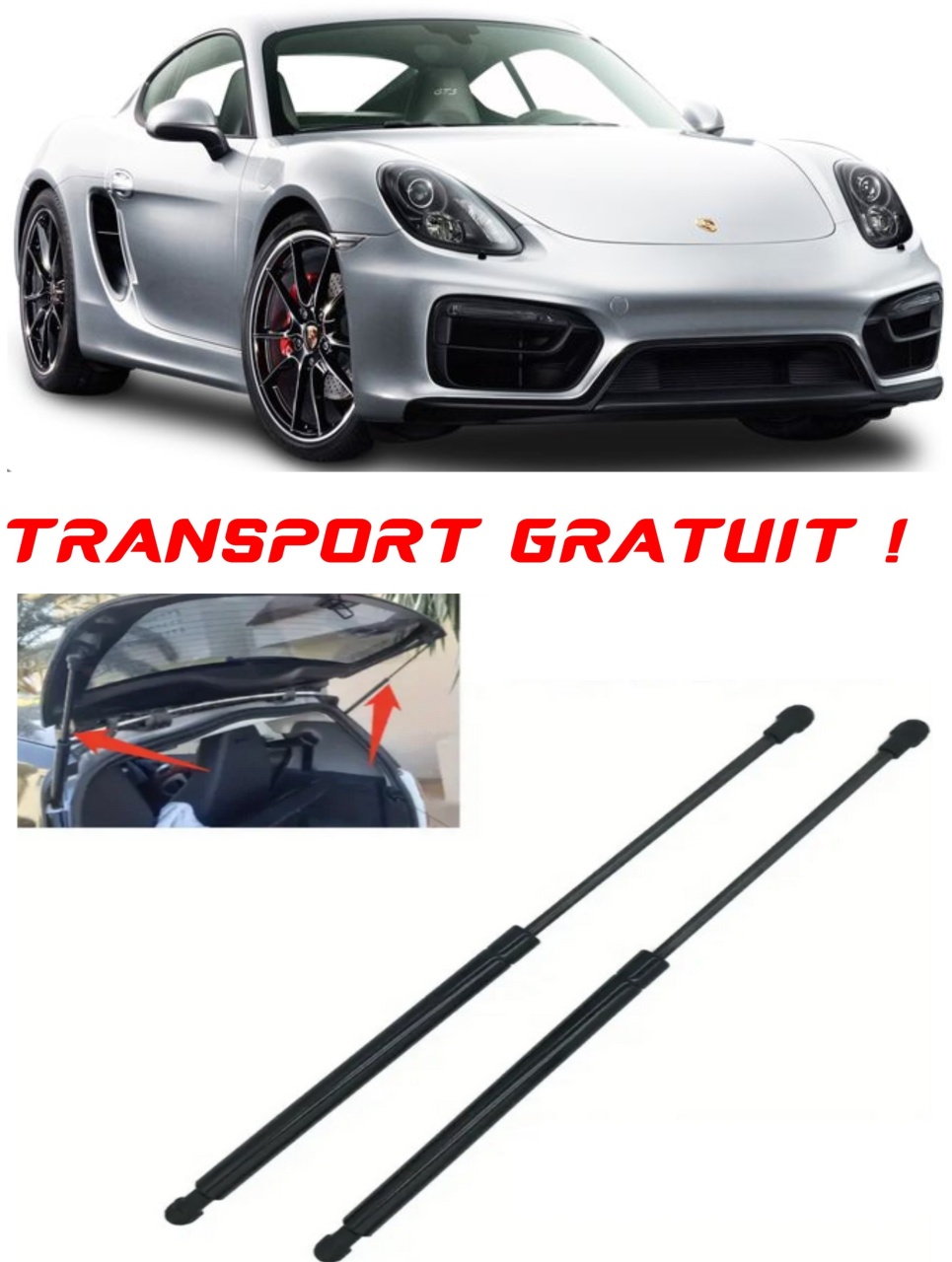 Set 2 amortizoare Haion portbagaj pentru masina Porsche CAYMAN (981)