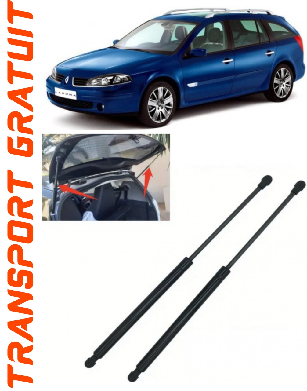 Set 2 amortizoare Haion portbagaj pentru masina Renault Laguna II