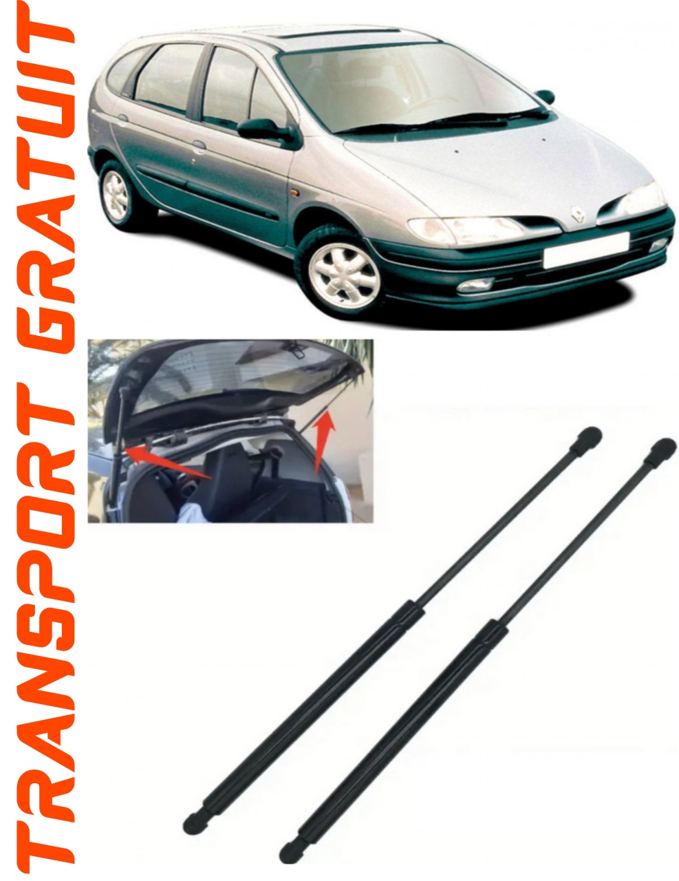 Set 2 amortizoare Haion portbagaj pentru masina Renault Megane I