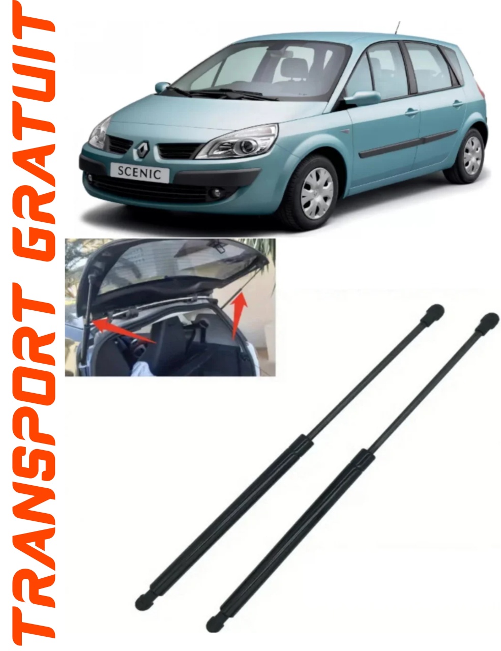 Set 2 amortizoare Haion portbagaj pentru masina Renault Scenic II
