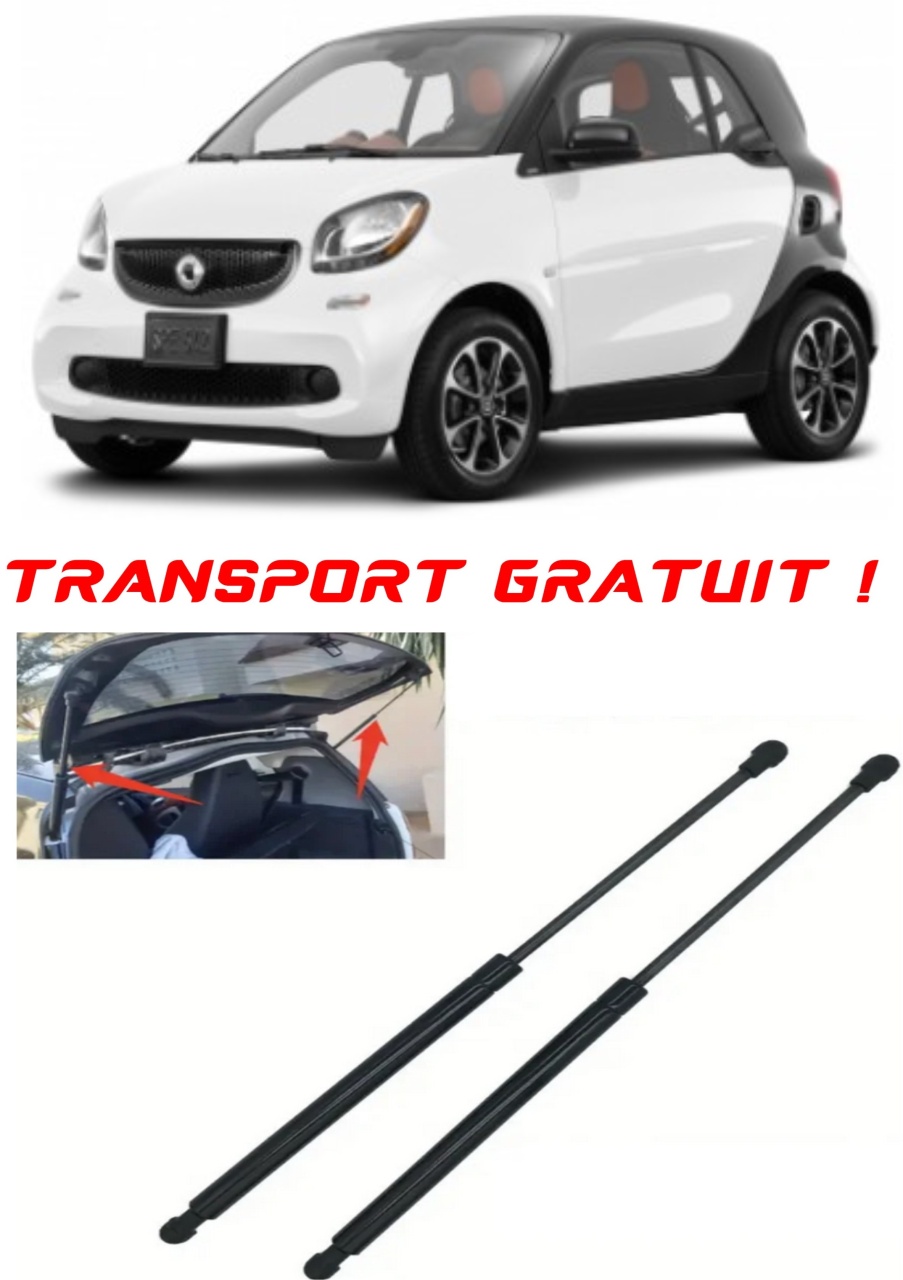Set 2 amortizoare Haion portbagaj pentru masina Smart FORTWO Coupe (453)
