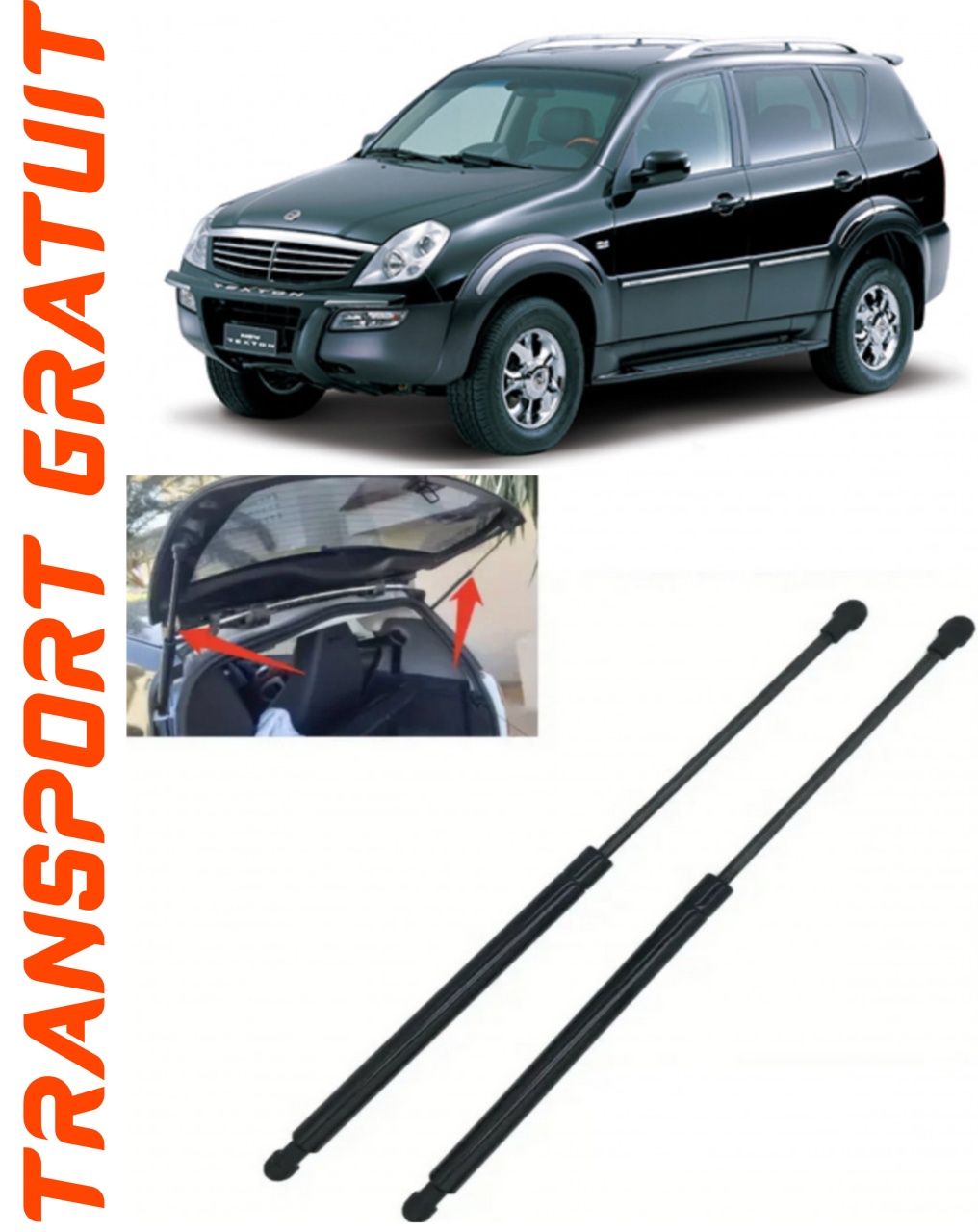Set 2 amortizoare Haion portbagaj pentru masina Ssangyong Rexton II