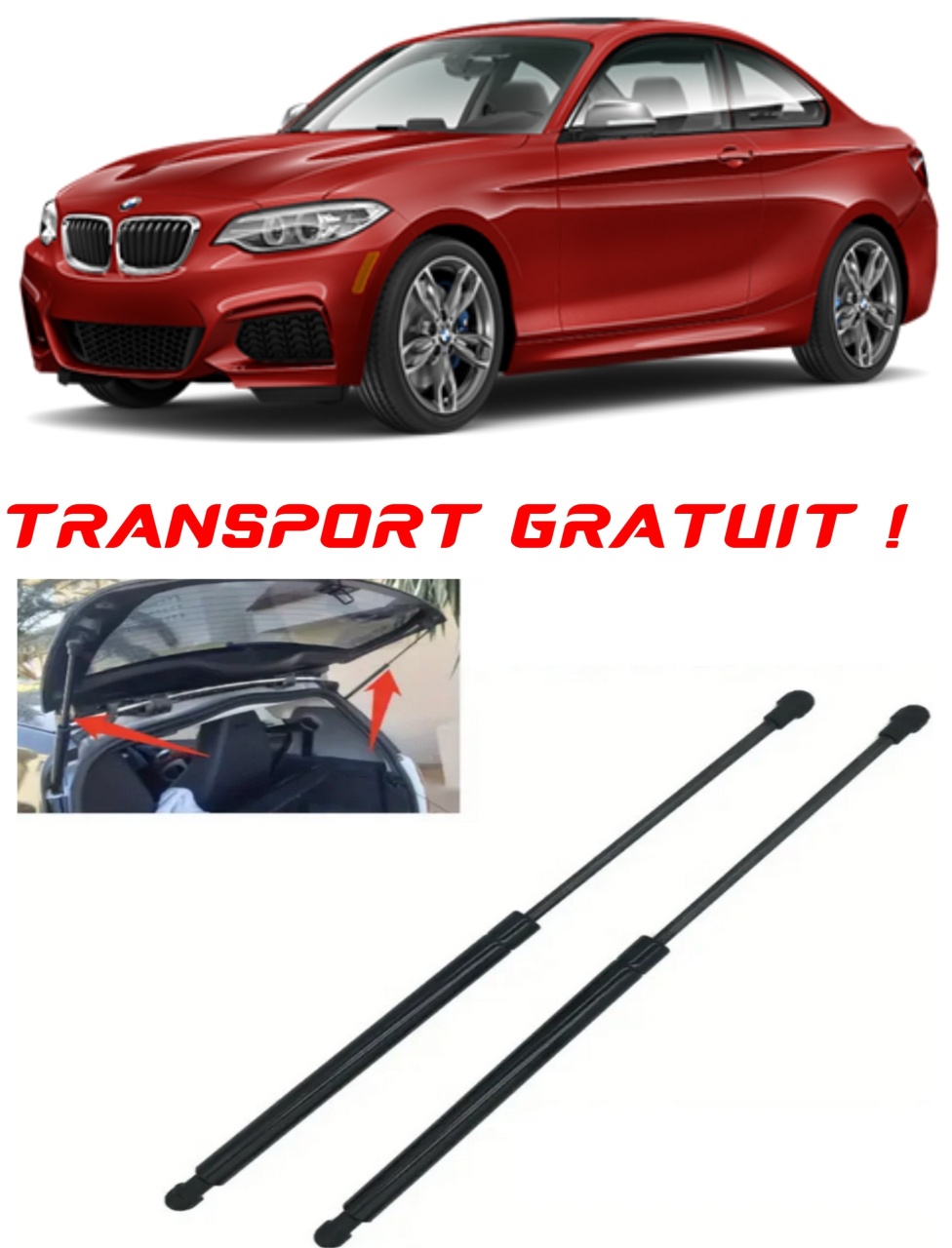 Set 2 amortizoare Haion portbagaj pentru masina BMW 2 Coupe (F22, F87)