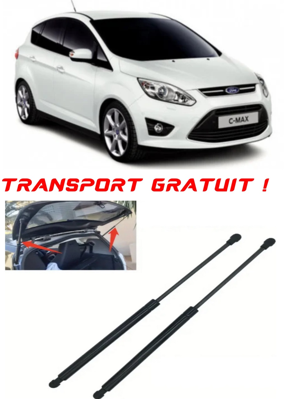 Set 2 amortizoare Haion portbagaj pentru masina Ford C-MAX II (DXA/CB7, DXA/CEU)
