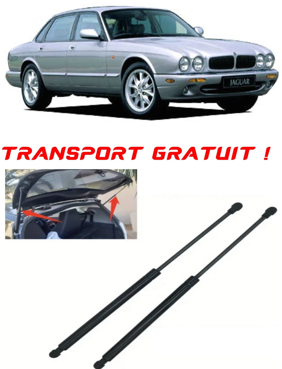 Set 2 amortizoare Haion portbagaj pentru masina Jaguar XJ (X308)