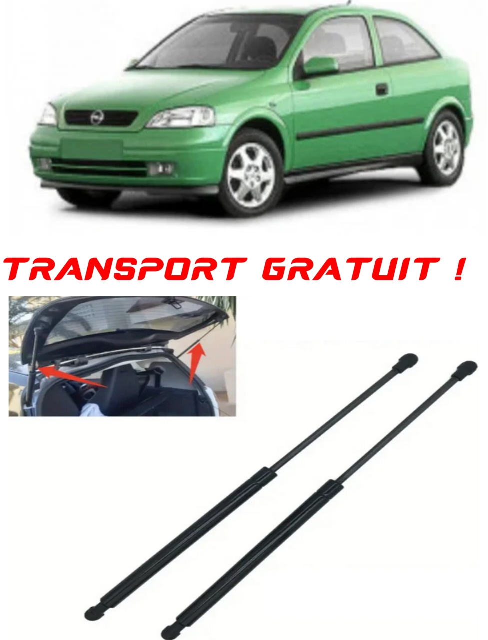 Set 2 amortizoare Haion portbagaj pentru masina Opel ASTRA G Hatchback (T98)