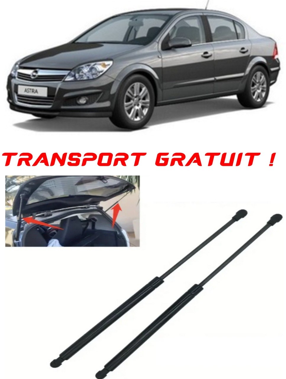 Set 2 amortizoare Haion portbagaj pentru masina Opel ASTRA H (A04)