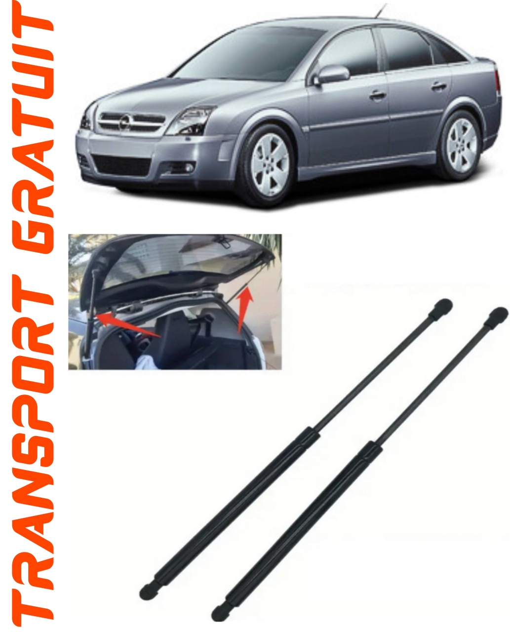Set 2 amortizoare Haion portbagaj pentru masina Opel Vectra C