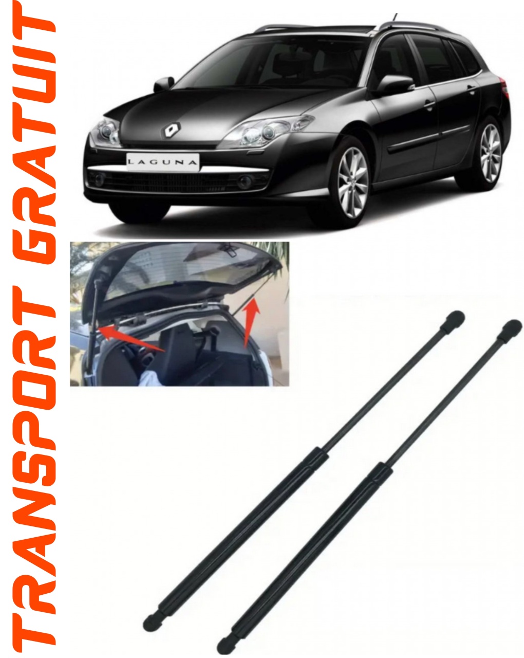 Set 2 amortizoare Haion portbagaj pentru masina Renault Laguna III