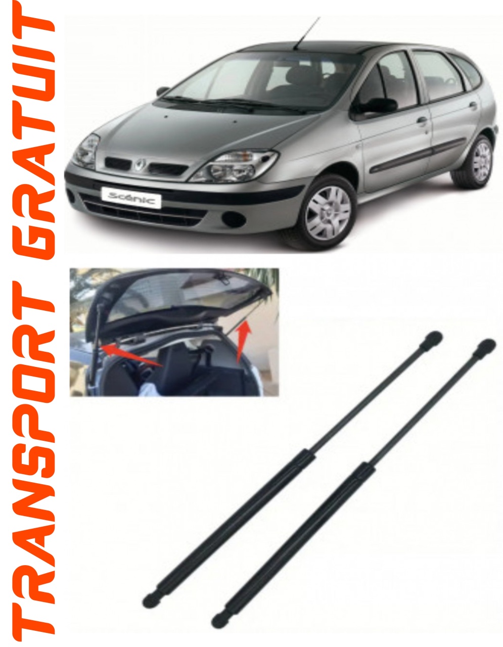 Set 2 amortizoare Haion portbagaj pentru masina Renault Scenic